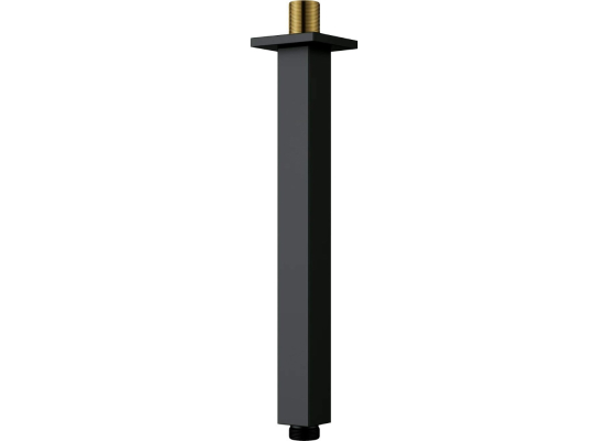 DEANTE NAC_N48K Wylewka prysznicowa sufitowa - 250 mm